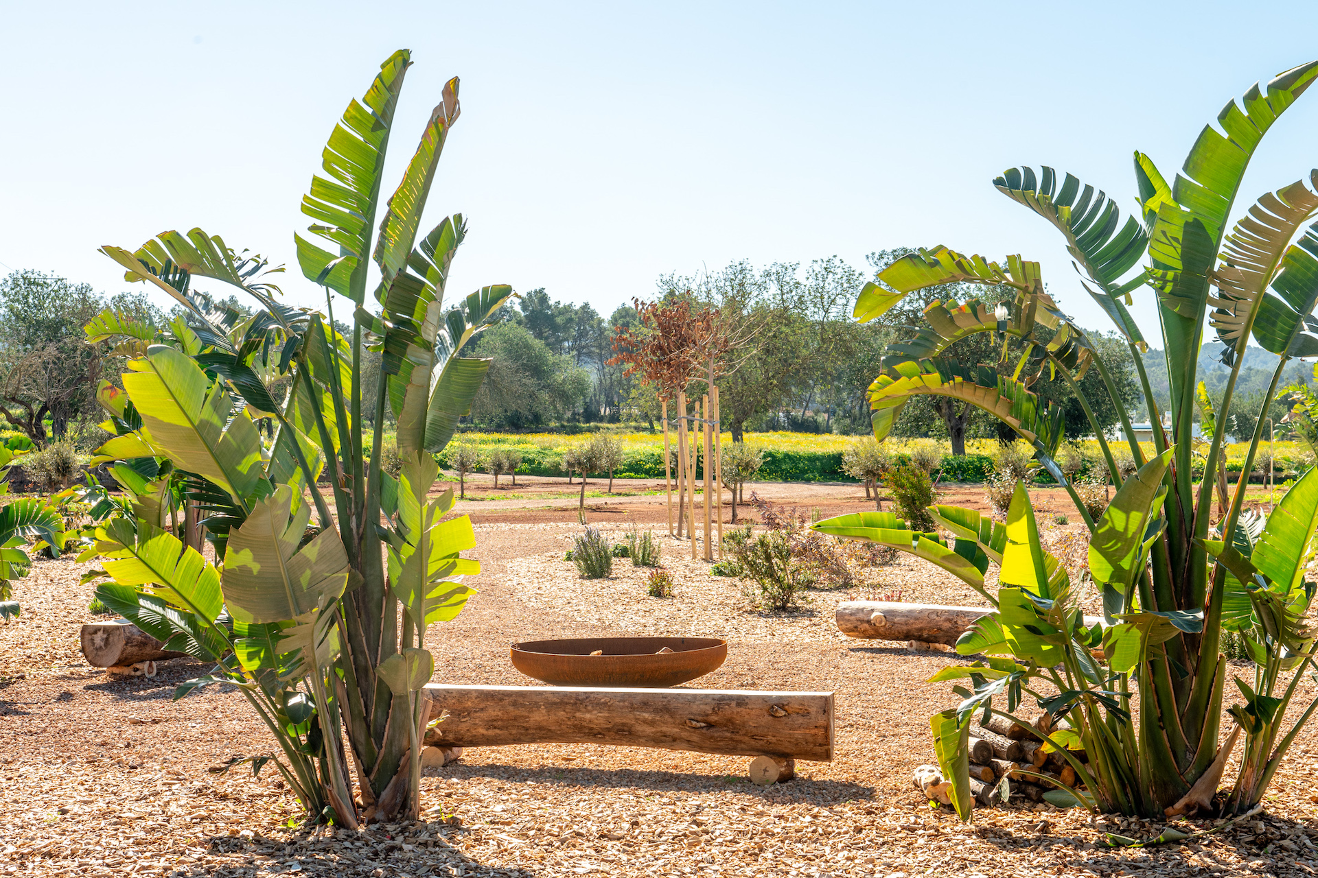 Resa Estates Ibiza te koop for sale finca modern garden plants.jpg